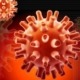 herpes-virus