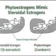 Phytoöstrogen, Hormone, Klimakterium, Phytoöstrogen besetzt Rezeptor, Phytoästrogen keine hormonelle Wirkung